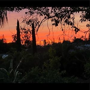 Meet your Posher, Rosalyn